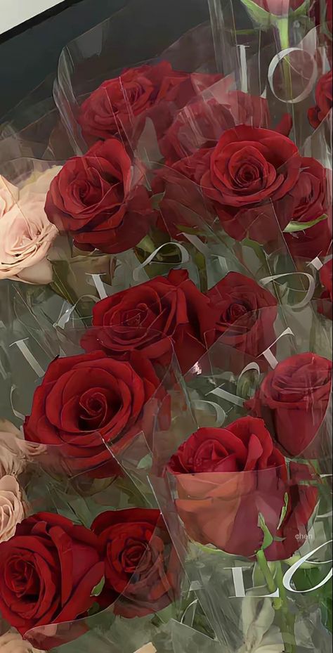 Red Rose Flower Aesthetic, Rose Flower Aesthetic, Bedroom Wallpaper Aesthetic, Flower Aesthetic Wallpaper, Bedroom Wallpapers, December Aesthetic, Bathroom Wallpaper Ideas, Wallpapers For Living Room, Wallpaper Store