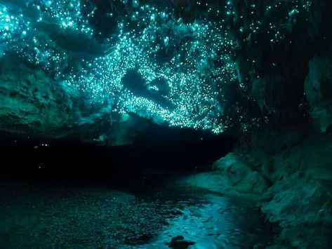 Glow Worm Cave, Glow Worms, Badass Pictures, Glow Worm, Crystal Cave, Cave In, The Dark Crystal, Landscape Photographers, Fantasy Landscape