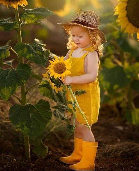 Sunflower Mini Session, Sunflower Field Photography, Toddler Photoshoot, Sunflower Photography, Field Photography, Children Sketch, Toddler Photos, Sunflower Pictures, Photography 101