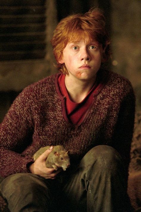 Rupert Grint Ron Weasley, Weasley Harry Potter, Harry Potter Ron Weasley, Ronald Weasley, Harry Potter Ron, Rupert Grint, Images Harry Potter, Ron And Hermione, Prisoner Of Azkaban