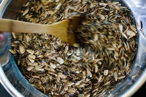 Wooden mallet Pot Shell Pumpkin, Shelled Pumpkin Seeds, Wooden Mallet, Pumpkin Sunflower, Sunflower Seed, Stuffed Shells, Sunflower Seeds, Pumpkin Seeds, Dinner Tonight