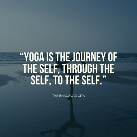 a collection of quotes about yoga and yoga sayings Quotes On Yoga, Yoga Day Quotes, Practice Quotes, Yoga Quotes Motivational, Yoga Words, What Is Yoga, Yoga Inspiration Quotes, Yoga Illustration, Yoga Inspo