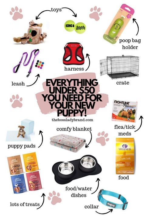 Getting A New Puppy, Border Collie Training, New Puppy Checklist, Puppy Checklist, Puppy Time, Puppies Tips, Puppy Pads, Dog Essentials, Puppy Supplies