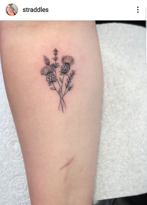 Thistle Flower Tattoo, Scottish Thistle Tattoo, Thistle Bouquet, Thistle Tattoo, Thistle Flower, Scottish Thistle, Tattoo Inspo, Leaf Tattoos, Maple Leaf Tattoo