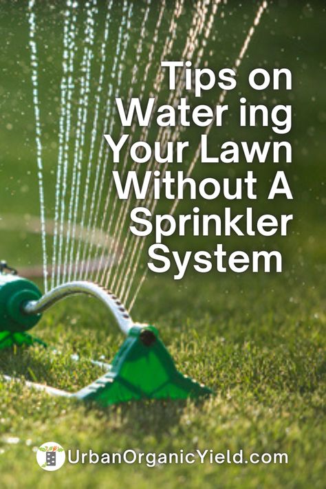 Lawn Care Social Media Posts, Lawn Design Ideas, Above Ground Sprinkler System, Sprinkler System Design, Landscaping 101, Sprinkler System Diy, Overseeding Lawn, Water Sprinkler System, Fescue Lawn