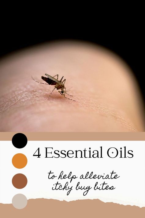 "Bug Bite Busters! 🐜: Top 4 Essential Oils for Itch Relief" Misquote Itch Relief, Essential Oils For Rash, Bug Bite Swelling, Mosquito Bite Itch Relief, Essential Oils For Mosquitoes, Mosquito Bite Relief, Itchy Bug Bites, Remedies For Mosquito Bites, Bug Bites Remedies