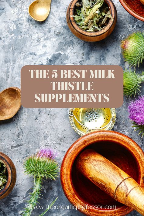 Milk thistle has been used as a liver tonic for centuries and is becoming increasingly popular among people who are looking to improve liver health. I've rounded up five of the most potent milk thistle supplements on the market. You'll be getting high-quality ingredients in each one of these products that have been specially formulated to help you take control of your health. Milk Thistle For Liver, Milk Thistle Benefits For Women, Food Good For Liver, Milk Thistle Supplement, Milk Thistle Benefits, Liver Detox Recipes, Healing Garden, Milk Thistle, Liver Detox