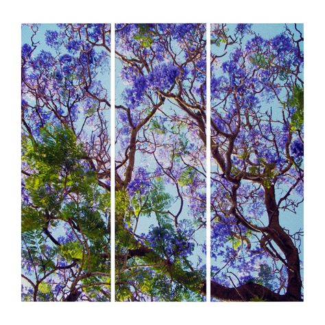 Jacaranda Trees, Tree Oil Painting, Jacaranda Tree, Book Marks, Tree Oil, Multi Panel Canvas, Wall Art Sets, Creative Art, Art Sets