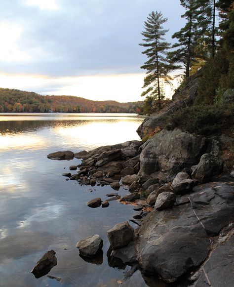 From The Archives: Suzanne Dimma & Arriz Hassam’s Off-The-Grid Cottage - House & Home Sandblasting Ideas, Water Reference, Canadian Lakes, Canadian House, Rocky Shoreline, Room Paintings, Diy Paintings, Cottage Retreat, Bay Photo