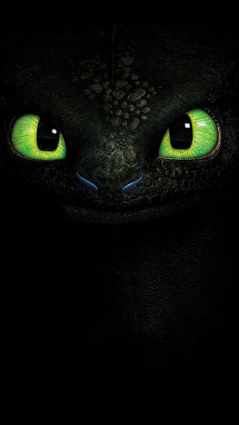 Nightfury Wallpaper, Toothless Wallpaper, Dragon Wallpaper Iphone, Toothless Dragon, Httyd Dragons, Dragon Party, Dragon Trainer, Cute Dragons, Wallpapers Iphone