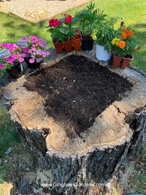 Tree Repurpose Ideas, Stump Decorating Ideas Garden, Stump Flower Planter, Tree Stump Fairy Garden Ideas, Tree Ring Landscape Ideas, Cabin Landscaping Ideas Simple, Oak Stump Ideas, Ideas For Large Tree Stumps, Hide Tree Stump Ideas