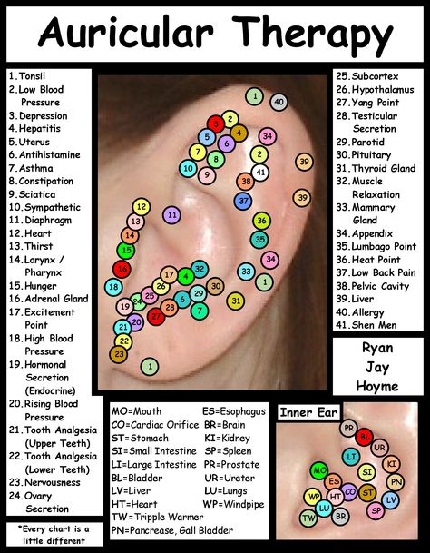 Auricular Therapy Auricular Therapy, Ear Acupressure Points, Ear Reflexology, Ear Seeds, Shiatsu Massage Acupressure, Massage Pictures, Acupuncture Benefits, Reflexology Chart, Reflexology Massage