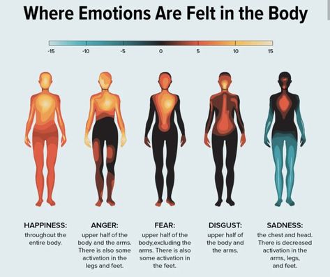 Understanding Emotions, Sleep Eye, Feelings And Emotions, Emotional Wellness, Reduce Inflammation, Energy Level, Emotional Health, Emotional Intelligence, The Last Time