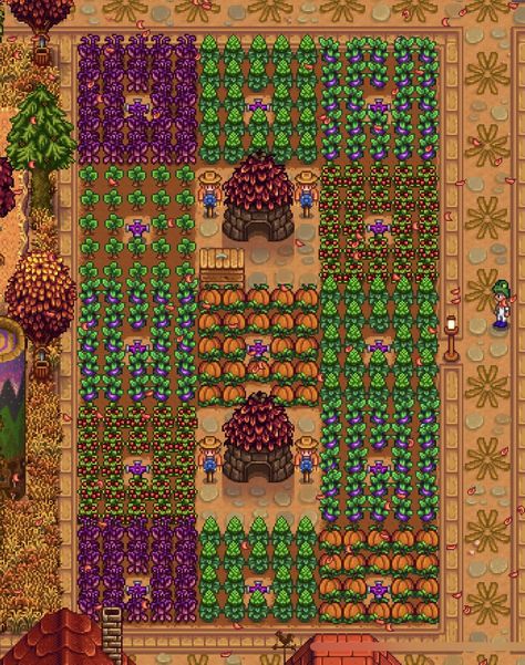 Hilltop Stardew Valley Layout, Stardew Valley Items Shipped, Stardew Crop Layouts, Stardew Valley Farm Layout Fall, Stardew Crop Calendar, Best Crops Stardew Valley, Stardew Fall Crops, Fall Crops Stardew, Stardew Valley Farm Setup