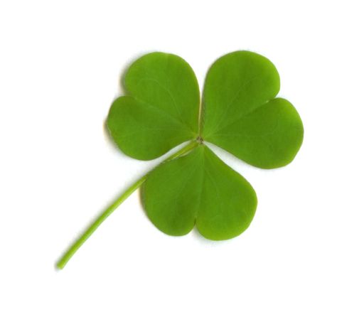 Why do we put up pictures of three-leaved clovers, or small red-haired men in celebration of Saint Patrick's Day?  Find out why in this guide to the folklore, traditions, and symbolism of Saint Paddy's Day. Bible Object Lessons, Abraham Hicks Videos, 4 Leaves, Object Lessons, Four Leaves, Happy St Patricks Day, Luck Of The Irish, Children's Ministry, Abraham Hicks