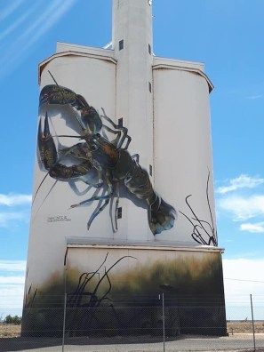 D'Vate – South Australia Silo Art Trail –Waikerie were the twenty fifth silos to be completed in 2018. Photo Credit Janet Gregory Painted Silos, Silo Art, Healthy Community, Australian Country, Street Art News, Grain Silo, Murray River, Water Towers, 3d Street Art