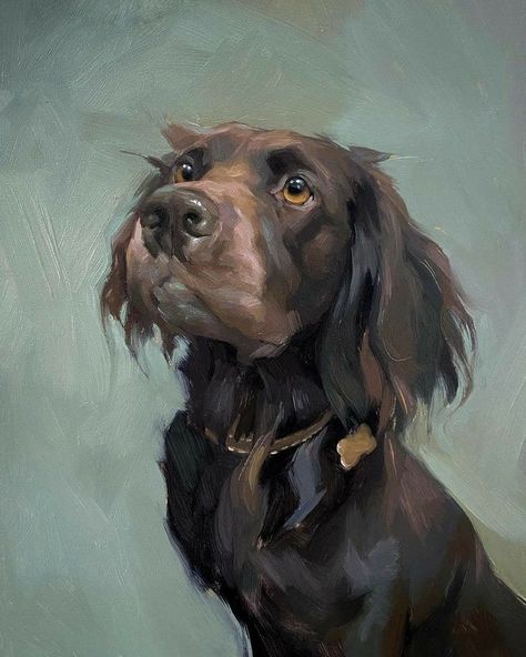 Jennifer Gennari, Pet Portraiture, Pet Portrait Paintings, Dog Portraits Painting, Dog Portraits Art, Spaniel Art, Dachshund Art, Animal Portraits Art, 강아지 그림