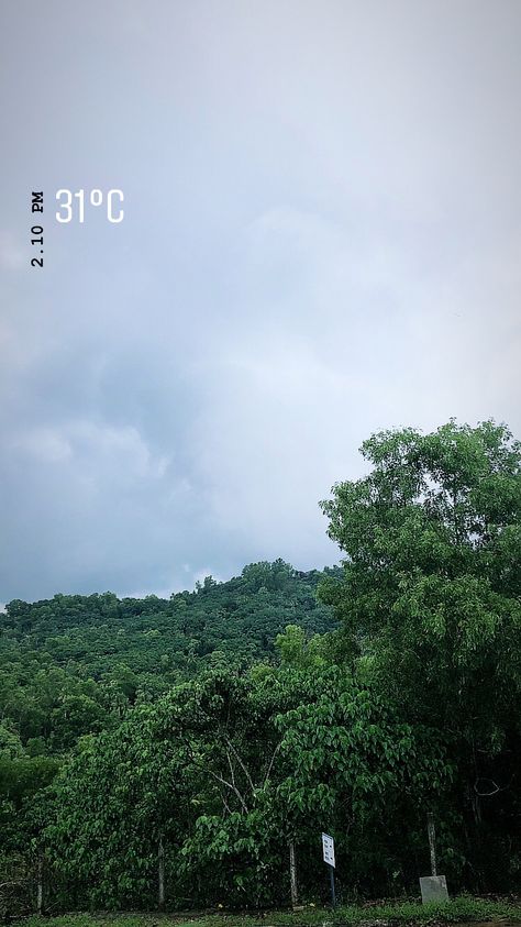 Instagram story ideas | Nature #instagram #instagramstory #instagramstories #nature #clouds #instagramhighlights Jungle Story Instagram, Insta Story Ideas Nature, Instagram Story Ideas Nature, Simple Instagram Story Ideas, Nature Story, Story Insta, Nature Clouds, Nature Instagram, Instagram Inspiration Posts