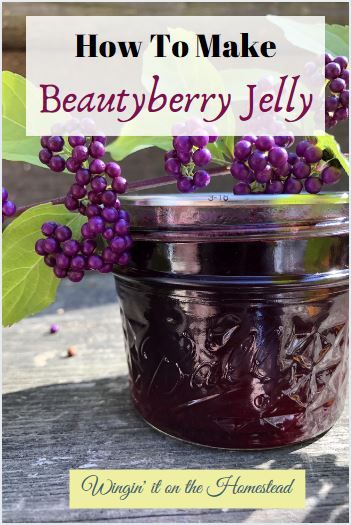 Beautyberry Jelly Recipe, Beauty Berry Jelly Recipe, Beauty Berry Jelly, Beautyberry Jelly, Beautyberry Bush, Homestead Projects, Today Recipes, Beauty Berry, Farm Cooking