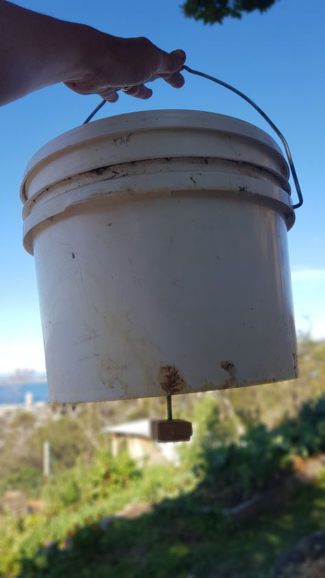 Rodent-proof Chicken Feeder | Good Life Permaculture Chicken Feeder Ideas Repurposed, Homemade Chicken Feeder, Diy Chicken Feeder, Pet Chickens Breeds, Bird Feeder Hangers, Chicken Aesthetic, Bird Feeder Stands, Chicken Feeder Diy, Unique Bird Feeders