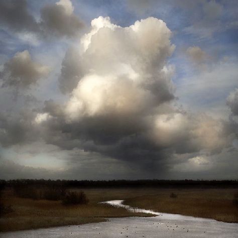 Scenery Reference Photos, Cloud Paintings, Outdoor Photography Tips, Cloud Study, Dutch Landscape, Landscape Reference, Cumulus Clouds, Dramatic Sky, White Drawing