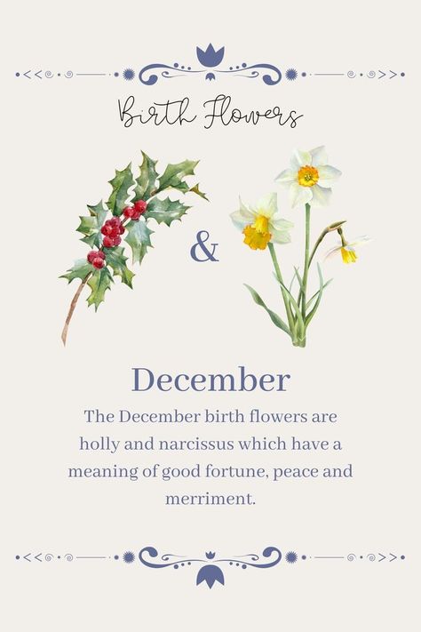 Holly Flower Aesthetic, Fem Tattoos, Bloomcore Aesthetic, Holly Wallpaper, Flowers Meanings, January Birth Flower, Holly Flower, December Days, December Birth Flower