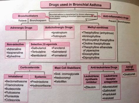 Bronchial Asthma Notes, Asthma Pathophysiology, Asthma Nursing, Respiratory Therapy Notes, Respiratory Medications, Pharmacology Notes, Nose Problems, Nursing Management, Bronchial Asthma