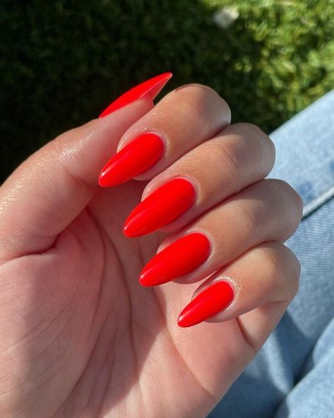 Bright Red Almond Nails, Orangey Red Nails, Solid Color Acrylic Nails, Red Summer Nails, Bright Red Nails, Red Acrylic Nails, Acrylic Nails Coffin Pink, Almond Acrylic Nails, Nails 2024