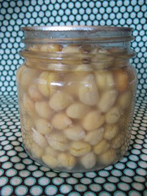 Creative Chicks: Canning Garbanzo Beans (Chickpeas) and Homemade Hummus Canned Apple Pie, Apple Pie Filling Recipe, Cooking Garbanzo Beans, Ball Blue Book, Apple Pie Filling Recipes, Canned Meats, Canned Apple Pie Filling, Pie Filling Recipes, Camp Stove