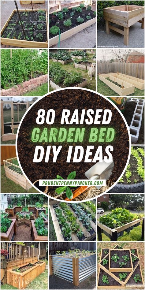 Inexpensive Raised Garden Beds, Diy Raised Garden Beds, Cheap Raised Garden Beds, Garden Bed Layout, Raised Garden Bed Plans, Cedar Raised Garden Beds, Garden Boxes Raised, Vegetable Garden Raised Beds, Diy Raised Garden