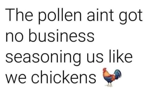 Gotta Giggle Memes & Funnies | Facebook Allergies Quotes Funny, Allergies Quote, Allergy Memes, Cowboy Pasta Salad, Allergies Funny, Cowboy Pasta, Weather Jokes, Sick Quotes, Weather Memes