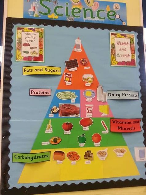 Children draw pictures of food and add to the food pyramid as the topic progresses. Food Pyramid Activities Preschool, Preschool Food Pyramid, Food Theme Board Ideas For Preschool, Food Theme Board, Food Pyramid Preschool, Food And Nutrition Project Ideas, Food Pyramid Drawing, Food Pyramid Project, Food Theme Preschool