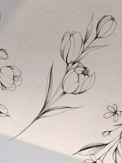 Snake And Tulip Tattoo, Tulip Flower Tattoo Designs, Tulip Tattoo Sleeve, Tulips Tattoo Design, Linework Flower Tattoo, Tulip Tattoo Design, Tulips Tattoo, Tulip Flower Drawing, Tulip Drawing