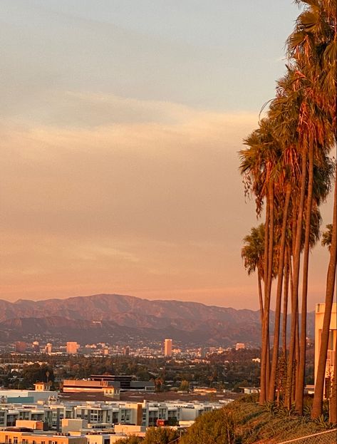 LMU bluff + the Hollywood sign Loyola Marymount University Aesthetic, Lmu University, Los Angeles University, University Of California Los Angeles, Loyola University Maryland, Loyola Marymount University, California State University Long Beach, La Life, College Senior