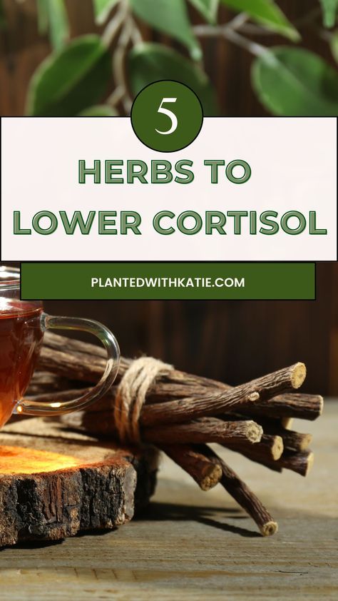 Top 5 Herbs For Cortisol (Support Your Adrenals) Herbs To Lower Cortisol, Herbs For Cortisol, Workouts To Lower Cortisol, Yoga To Lower Cortisol, Lower Cortisol, High Cortisol Signs, Regulating Cortisol Levels, Adrenal Support, Adrenal Health