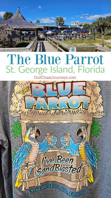 The Blue Parrot Cafe on St George Island, Florida, offers fantastic beachside dining with epic views of the Gulf of Mexico. St George Island Florida, Outdoor Tiki Bar, Gulf Coast Vacations, Saint George Island, Blue Parrot, St George Island, Gulf Coast Florida, Pensacola Beach, San Blas