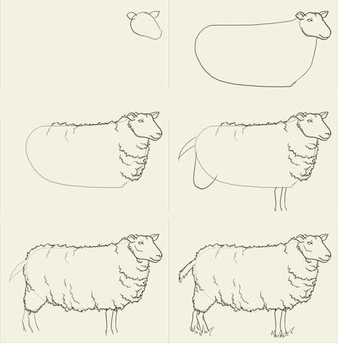 how to draw sheep How To Draw Sheep, Draw Sheep, Drawing Tuts, Sheep Drawing, Sheep Paintings, Sheep Art, Drawing Animals, The Sheep, Game Ideas