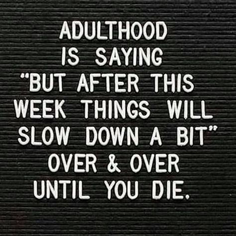 Adulthood Quotes, Letterboard Signs, Teaching Humor, Adulting Quotes, Writing Quotes, Spoiler Alert, Work Humor, 6th Grade, Love Words