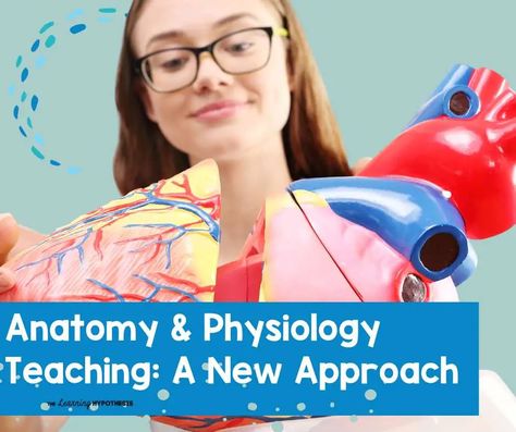 Anatomy and Physiology Teaching: A New Approach College Anatomy And Physiology, General Anatomy And Physiology, Anatomy And Physiology Flashcards, Anatomy And Physiology Chapter 1, Anatomy Teacher, Anatomy And Physiology Book, Reasoning Activities, Anatomy Physiology, Teaching Philosophy