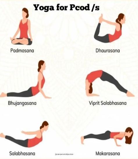 International Yoga Day Images, Menstrual Yoga, Loose Weight Workout, Quick Yoga, Fertility Yoga, Increase Blood Flow, Yoga Facts, Pelvic Region, Daily Yoga Workout