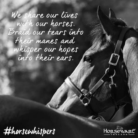 Horse Quotes Wild Horses Quotes, Black And White Aesthetic Quotes, Horse Racing Quotes, White Aesthetic Quotes, Horse Spirit Animal, Black White Horse, Horses Quotes, Horse Healing, Cowgirl Quote