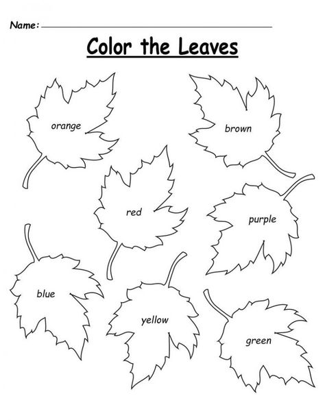 Leaf Worksheet, Fall Coloring Sheets, Planning School, Fall Worksheets, Coloring Worksheet, Autumn Leaf Color, Homeschool Preschool Activities, Fall Preschool Activities, Color Leaves