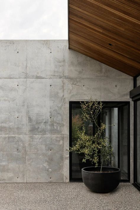 Concrete Exterior, Vertical City, Timber Screens, The Local Project, Concrete House, Australian Homes, Fireplace Wall, House On A Hill, Brickwork