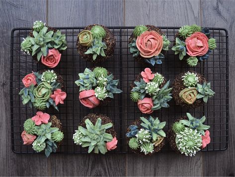 Hello everyone!! I don't know if it's just me, but I've been a tad bit obsessed with succulent plants lately. These plants are so weirdly shaped. I love it. In order to show exactly how obsessed I am, I made succulent plant cupcakes!!!!! I started with simple chocolate cupcakes (recipe below), and then I hollowed them… Plant Cupcakes, Easy Chocolate Cupcake Recipe, Chocolate Cupcakes Recipe, Succulent Theme, Succulent Cupcakes, Pastry Cream Recipe, Blooming Succulents, Frosting Techniques, Buttercream Roses