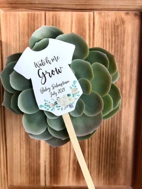 15 of the Best Baby Shower Game Prizes Your Guests Will Love Watch Me Grow Baby Shower, Lavender Favors, Sweet Baby Shower Ideas, Shower Pictures, Baby Shower Game Prizes, Butterfly Video, Shower Prizes, Baby Daisy, Succulent Favors