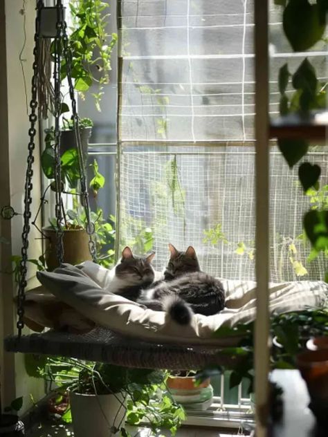 33 Smart Cat-Friendly Balcony Ideas - DigsDigs Balcony For Cats, Cat Friendly Balcony, Tiny Balcony Decor, Cat Balcony Ideas, Cat Balcony, Cat Proof Balcony, Cat Friendly Plants, Several Cat, Tiny Balcony