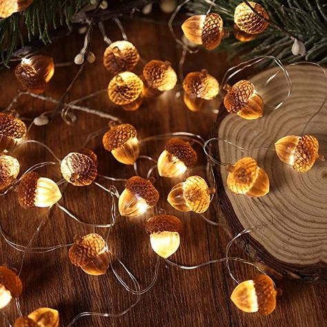 Acorn Lights, Wedding Bedroom, Bedroom Decor Lights, Battery String Lights, Halloween Christmas Decorations, Forest Decor, Indoor String Lights, Autumn Lights, Inspire Me Home Decor