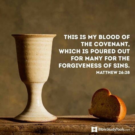 Matthew 26:28 Body And Blood Of Christ, Holiness Of God, Passover Lamb, Lords Supper, Matthew 26, Book Of Matthew, Blood Of Christ, Jesus Return, Powerful Scriptures