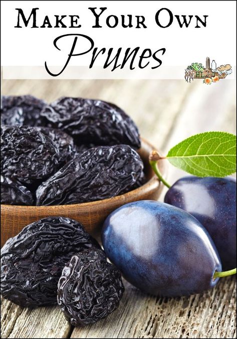 Make your own prunes in less than 10 steps l Healthy, delicious prunes made from fresh plums are so simple to make yourself l Homestead Lady.com Prune Recipes, Prune Plum, Healthy Fruit Snacks, Dried Prunes, Plum Recipes, Dried Plums, Food Snacks, Staying Healthy, Health Knowledge