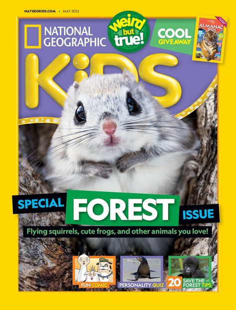 National Geographic Kids Magazine May 2022 Grass Template, National Geographic Kids Magazine, Facts About Animals, Types Of Forests, Coastal Redwood, Kids Magazine, Quiet Book Templates, National Geographic Kids, Flying Squirrel